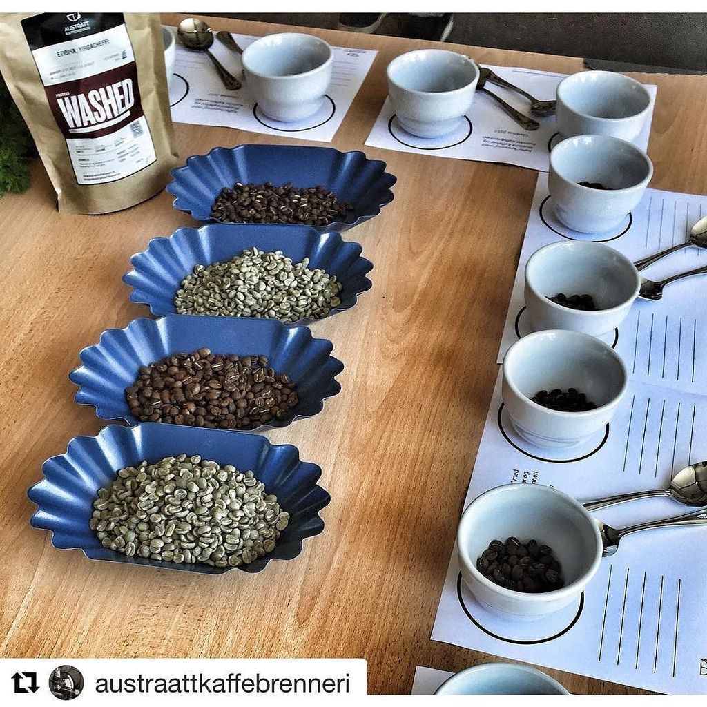 CafeSaus's tweet image. #Repost via @austraattkaffebrenneri ・・・
Kaffe kopping med @bluebirdkaffebar i Gladmat-teltet. En liten introduksjo… ift.tt/2uEdSqF