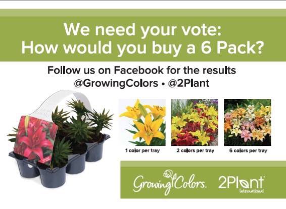 Druing #cultivate17 we conducted a Poll: Results: 1st choice : 6 colors (40%), 2nd choice: 1 color (29%) and 3rd choice: 2 colors (31%)
