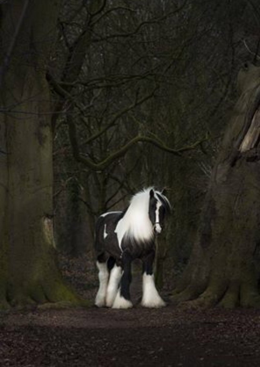 <a href="/M_MartinezRed/">🛩️Mariano😎 👑#TT4F⚜️#MUNEE👑 #MGWV♦️♦️#1DDRIVE</a> <a href="/ScarfaceQbc/">Scarface #TT4F #MGWV</a> @HotSonna1 <a href="/GigiMGWV/">Gigi •#MGWV°#G_SQUAD</a> <a href="/Stallion_Team/">Frankie * Stallion Gains *</a> <a href="/kleinslag/">⭐️Ꮩ̼̐͜͡Ꮠ͋͢Ꭾ•ღ🅹🅰🅽ღ•ℳ Ꮆ Ꮗ Ꮙ•ღ</a> <a href="/MGWV1oo/">MGWV</a> <a href="/LeillaLuna/">leillα⚘</a> @malemalefica <a href="/DOXAgr/">DOXA ( δόξα )</a> <a href="/TabletWallpaper/">Tablet Wallpapers</a> <a href="/malindanight/">Malinda</a> <a href="/ZigIar/">Zigiar</a> <a href="/Ahmad_Haif/">Ahmad Haif 𓂆 🇵🇸</a> <a href="/vilaandrealili1/">AňԀяєa し.❥ ∞</a> <a href="/malindadevil/">♥Malindadevil♥</a> <a href="/devilsright/">malinda #TFFLOVE</a> #TT4F #TEAMSTALLION
<a href="/Stallion_Team/">Frankie * Stallion Gains *</a> <a href="/vilaandrealili1/">AňԀяєa し.❥ ∞</a> <a href="/TabletWallpaper/">Tablet Wallpapers</a> <a href="/devilsright/">malinda #TFFLOVE</a> 
<a href="/malindadevil/">♥Malindadevil♥</a> <a href="/ZigIar/">Zigiar</a> <a href="/DOXAgr/">DOXA ( δόξα )</a> @HotSonna1 <a href="/Quinnqueens/">Quinn 💛(G.Quinn Rogers)</a>