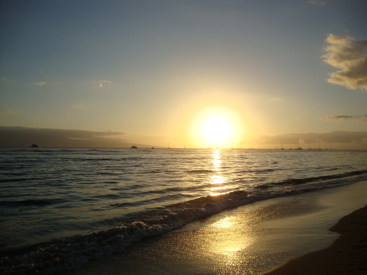 twiterlessliz's tweet photo. Enjoy the beauty that God has made and displays all around us. #maui #love #itookthispic https://t.co/vQzQ6rdDFO