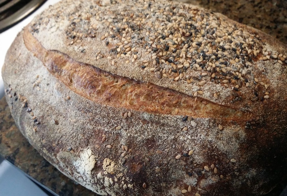 DilettanteDiana's tweet photo. YES please to @dance_rosetree homemade sourdough bread. #artisinalbread #delish https://t.co/wcc5C8YE3M