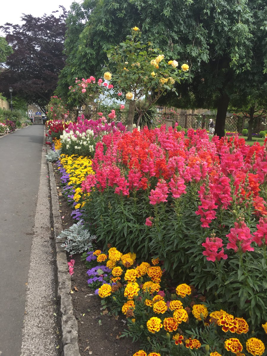 BakewellBloom's tweet photo. Just wonderful ! Bath Gardens in all its glory today in Bakewell.
#bakewell #flowers #Greeninggreybritain https://t.co/2TO2oDnfyE
