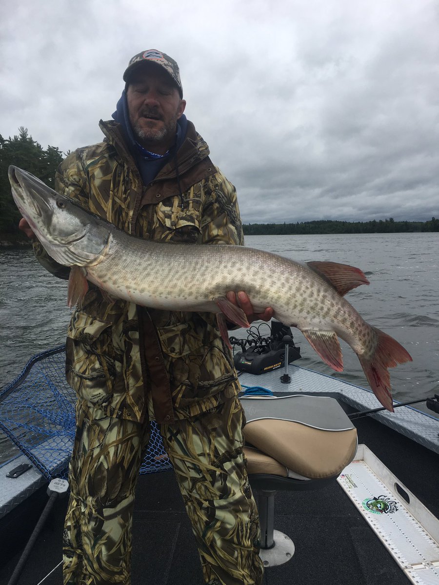 Cal Ritchie (@ritchie_cal) | Twitter