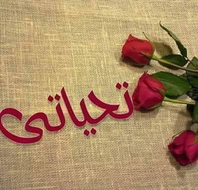 nbras8686's tweet photo. @9le @3mariq @6ti  https://t.co/gaYUPHjuBU