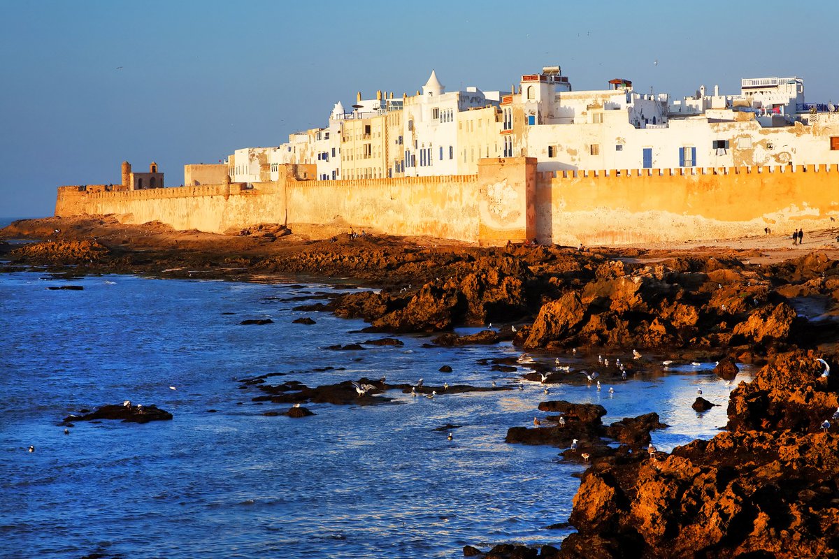 moroccotouring_'s tweet photo. #Medina of #Essaouira (formerly #Mogador)
#Morocco #Maroc #Essaouira #Mogador #oldbutgold  #visit #travel and #explore https://t.co/SdGxijpX7b
