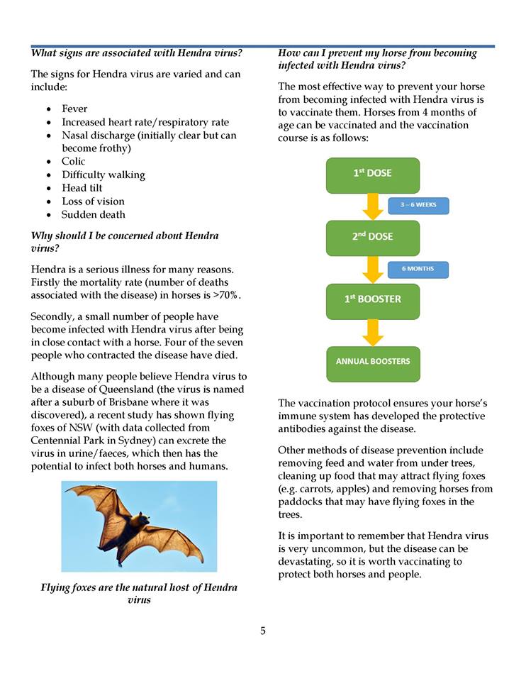 REC_SportsMed's tweet photo. Part 2 of July newsletter #equine #vet https://t.co/L2ixsltC88