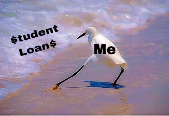 UnibuiInc's tweet photo. Oh hey there, student loans... #unibui #college #students https://t.co/YlpX6cd4zI