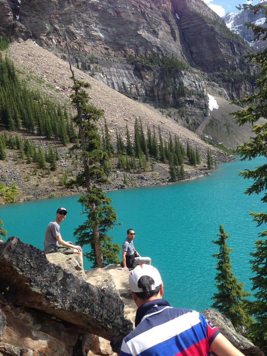 choihangyi67's tweet photo. Jasper and Banff trip #banff #Jasper #flower #mountain #photography #photo https://t.co/k4okSb9sam