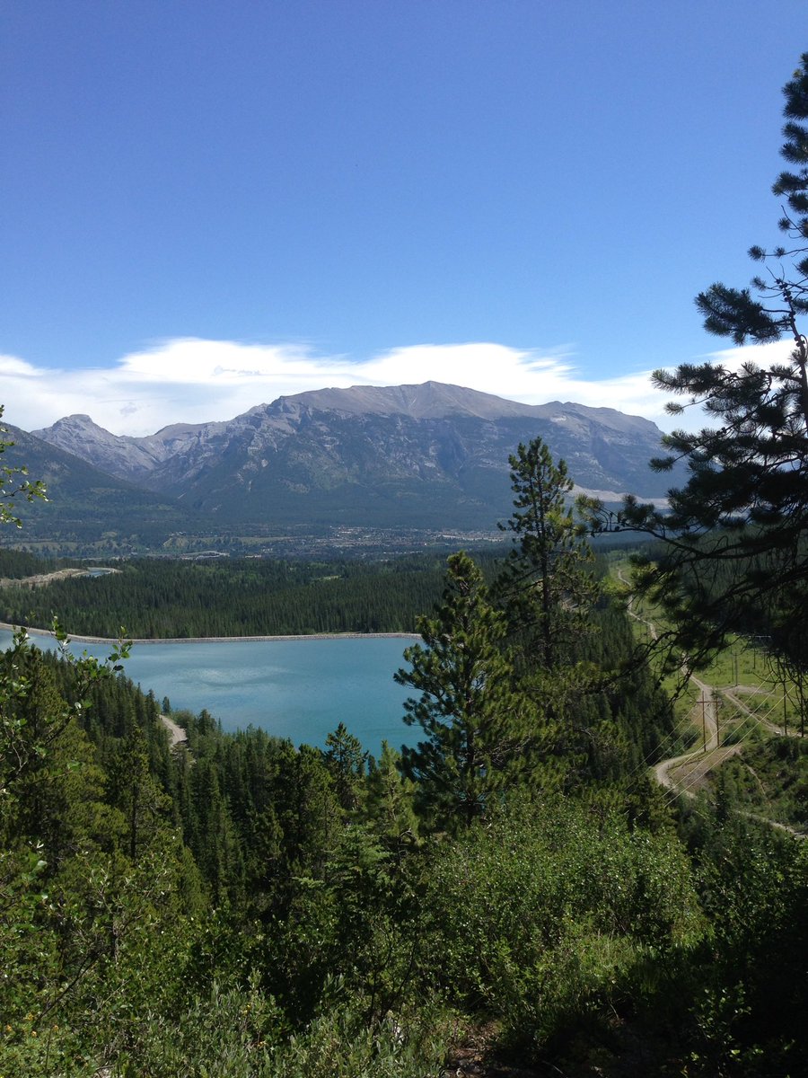 choihangyi67's tweet photo. Jasper and Banff trip #banff #Jasper #flower #mountain #photography #photo https://t.co/k4okSb9sam