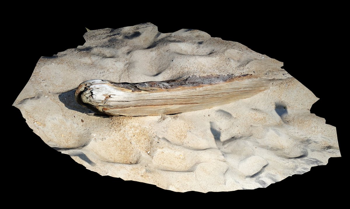 Zethrock09's tweet photo. This is a 3D scan of a piece of a shipwreck that I found on Cape Point on the Outer Banks #3dmodel #3dmodeling #3dscan #3drender #3dartist https://t.co/UV0K0rLYUG