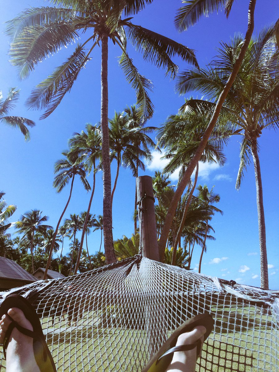 MarcRowanGibson's tweet photo. Always good for a mid winter break to the islands! Shade will be needed soon #term3ready #islandtime #bula https://t.co/LAvxE7WAsJ