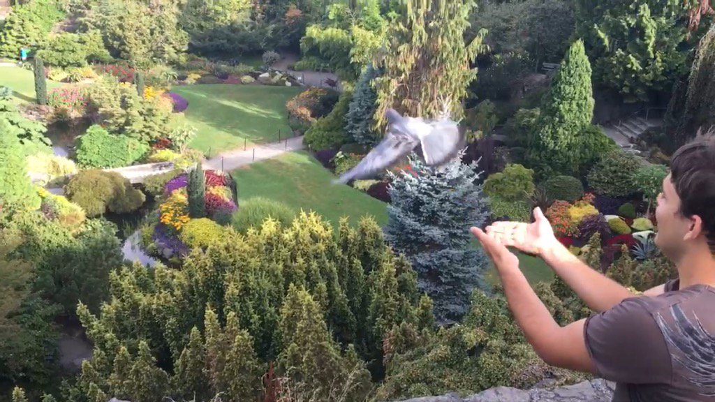 ionicpond's tweet image. .@potterpod I have never sent a message via owl but I have sent several over pigeon. No magic required.