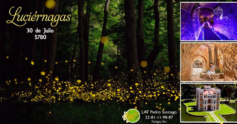 Vamonos de viaje :D info al 22 81 11 98 87 desde Xalapa, Ver. #Luciérnagas #Vamosdeviaje #ViajemosporMéxico #jarochotrip #travelexperiences