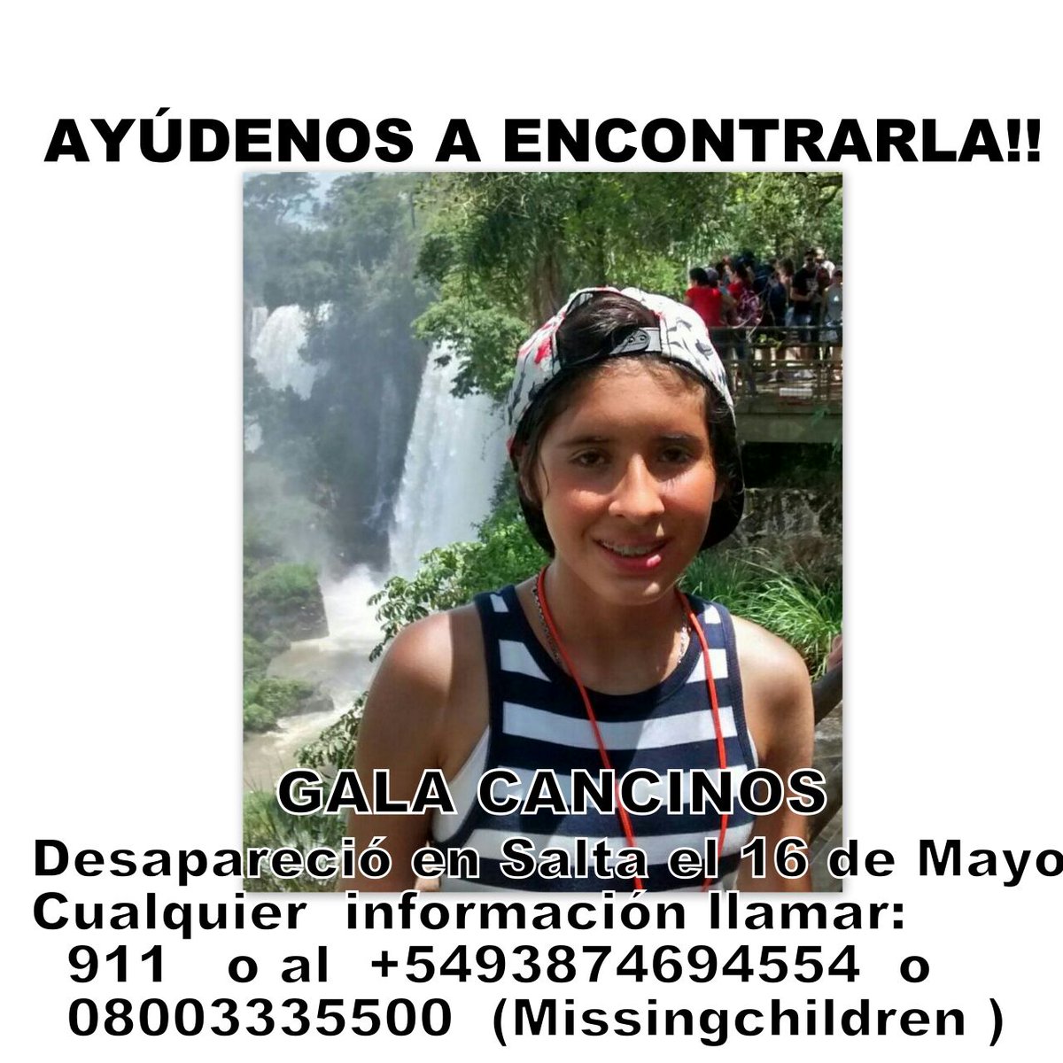 martitasolis732's tweet photo. TE BUSCAMOS GALA!
#Salta #Salta 
Más de 2 meses que falta de  su casa! RT X FV! Gracias @barbarareynoso5 @pachu_penia @Julyweich @carna63 https://t.co/9YWcKKnaYj