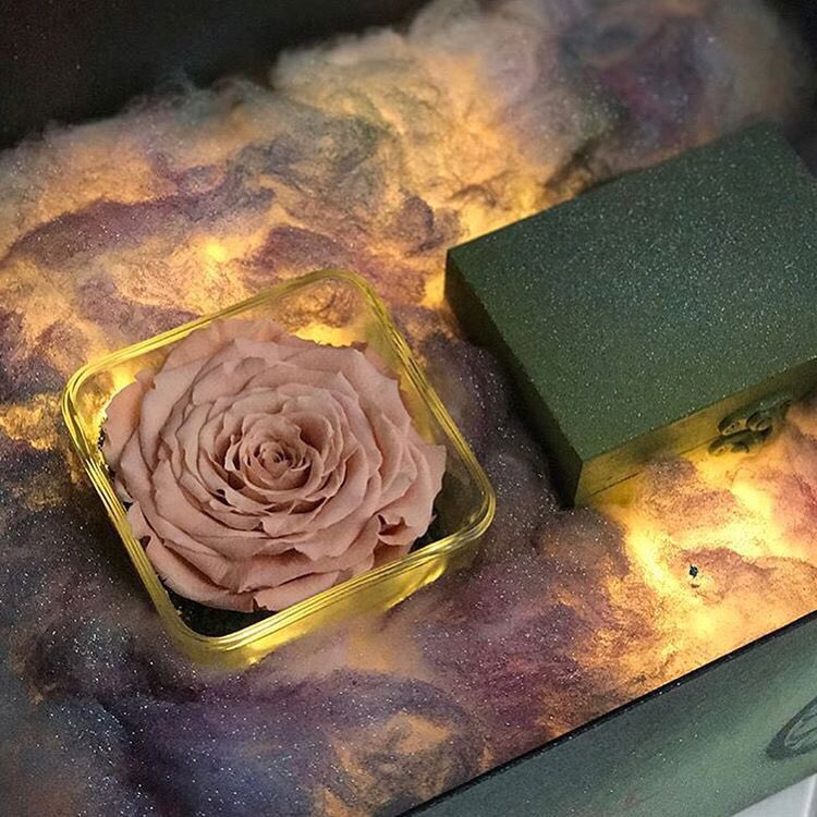 happy_gift7's tweet photo. For order dm or WhatsApp❤️ https://t.co/MZCo7HCP12