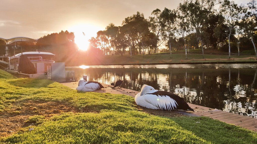 _Claire_Ingram's tweet image. Moving into final day of #systemsengineering technical program at @incose_org International Symposium here in Adelaide! #systems #incoseIS