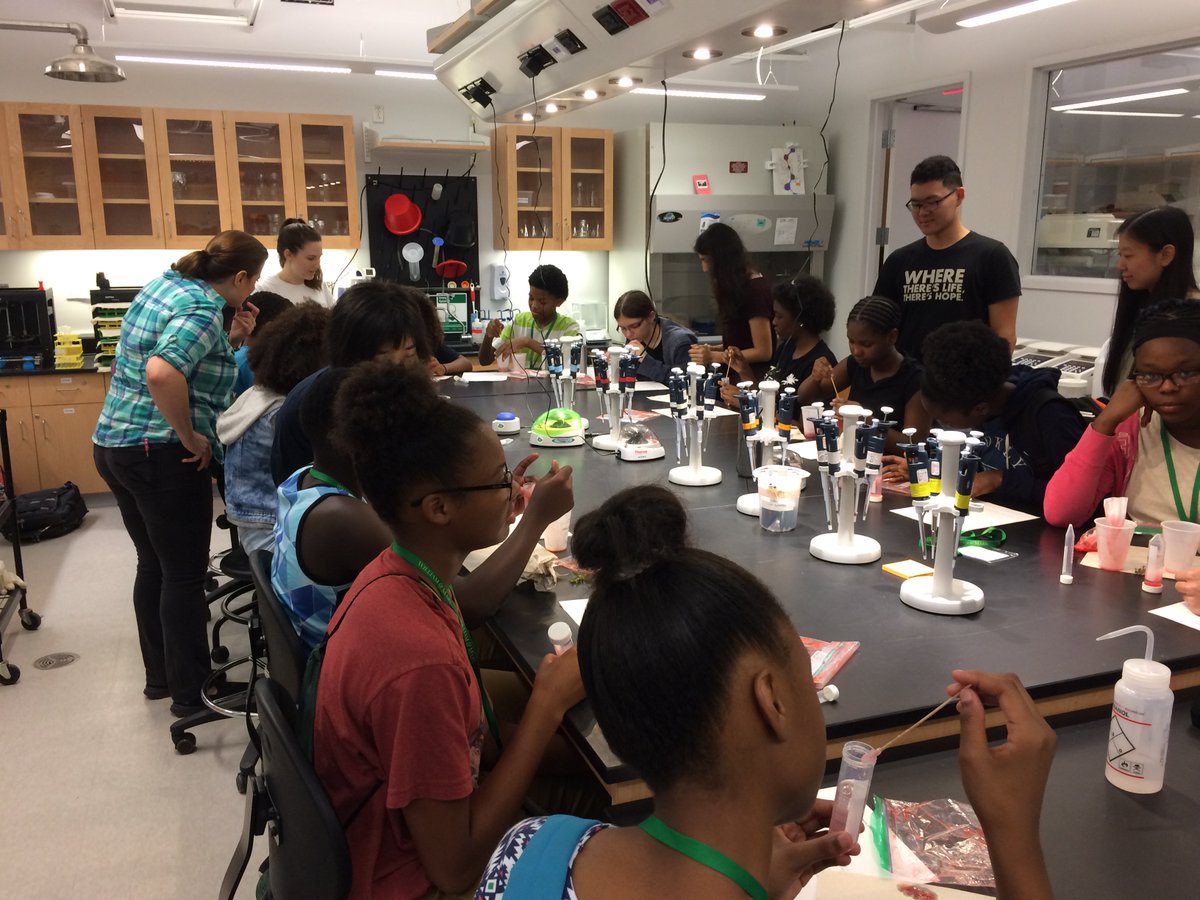 wmigem's tweet image. We had a fun time teaching middle school students about DNA extraction and gel electrophoresis! #humanpractices #iGEM2017