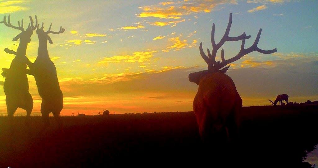 Crossbow Productions tweet media