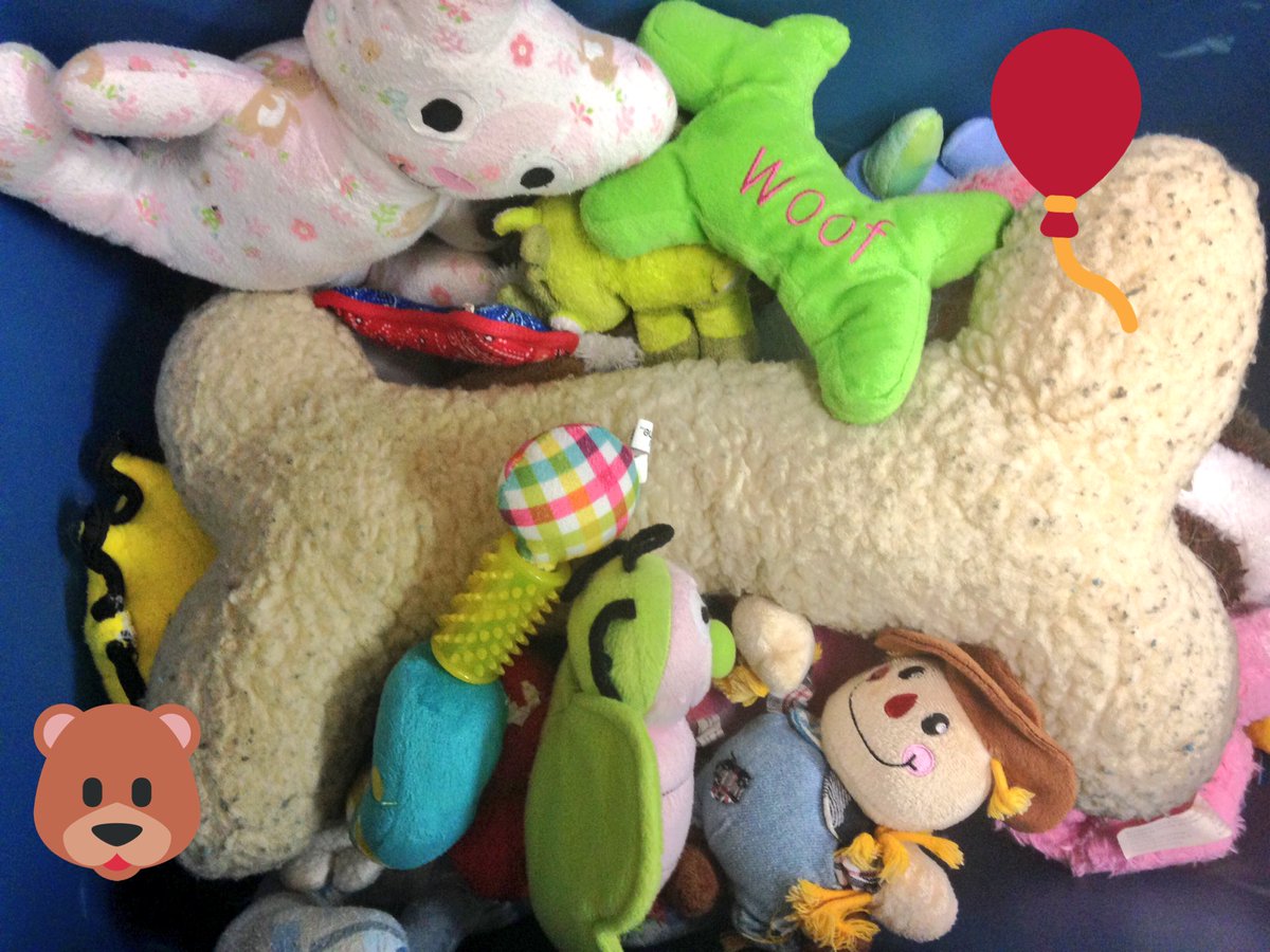 aacspca's tweet photo. Have any stuffed plush toys your child/dog doesn't use anymore? Donate them to our shelter! Our pups would love some new toys to play with! https://t.co/s8eADTCYGw