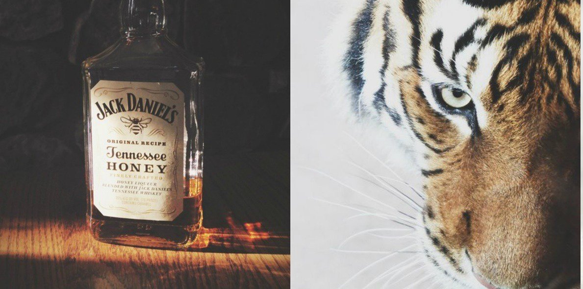 GunsAndClaws's tweet image. Tʜᴇ    sᴇᴄᴏɴᴅ    ᴍᴏsᴛ ᴅᴀɴɢᴇʀᴏᴜs ᴍᴀɴ ɪɴ Lᴏɴᴅᴏɴ.

➵   Rebooting.
➵   Literate and Descriptive.
➵   Seeking SLs.
➵   DM to plot.
➵   RT?