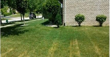 Heat tracking damage causes and solutions: bit.ly/2v8jRkL