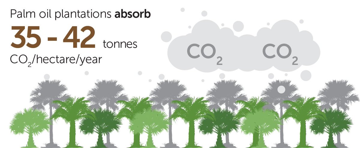 GAR_Sinarmas's tweet photo. Find out how #palmoil #plantations achieve the @UN #SDG of climate action https://t.co/SrsOI20Tjv #SR2016 #responsiblepalmoil https://t.co/WAnTsgdBQh
