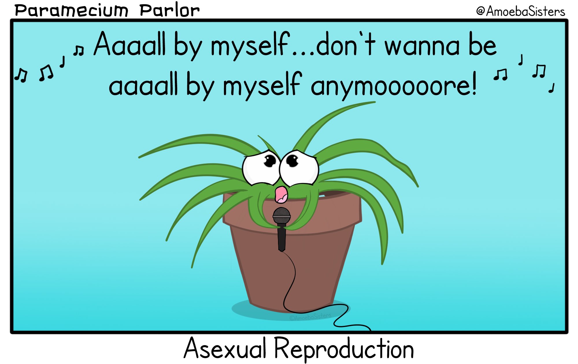 Amoeba Sisters on Twitter "Spider plants can create plantlets in asexual reproduction! Pic from