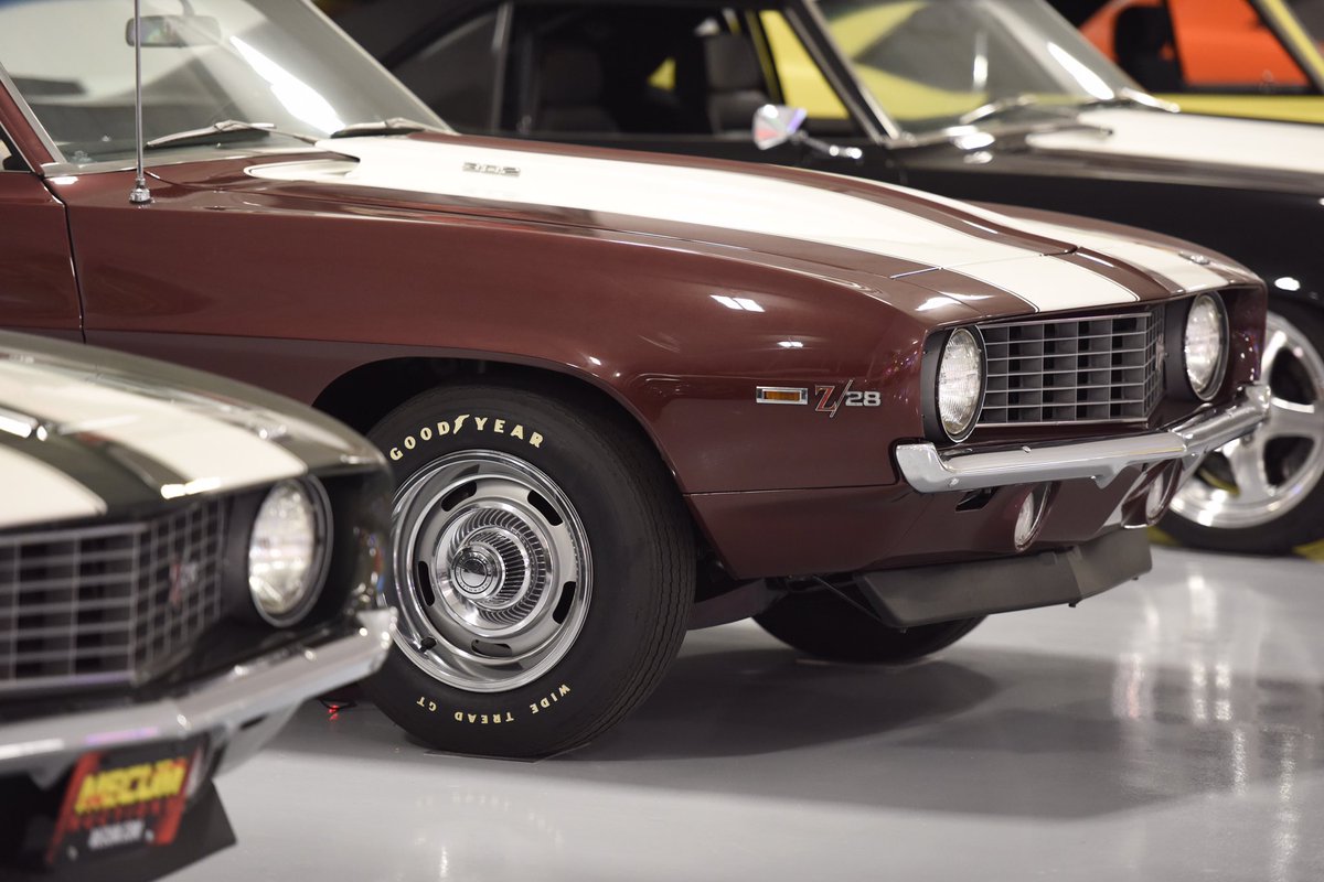 Showtime Motorsports tweet media