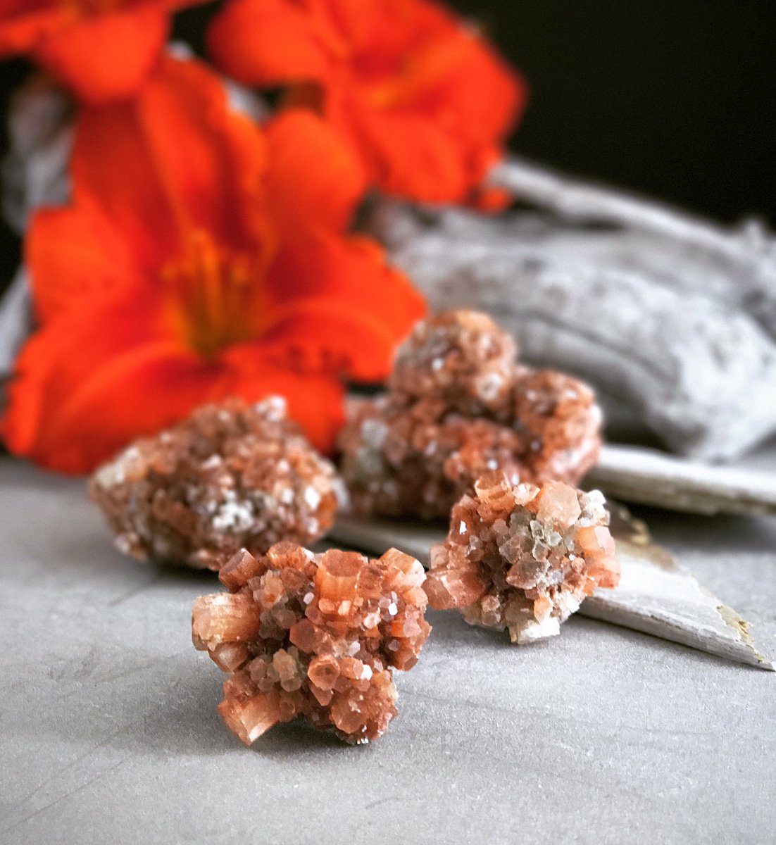 plainsofstone's tweet photo. •aragonite• #STABILITY #stone #gemstone #mineral #healingstones #morocco @plainsofstone #plainsofstone https://t.co/7OrnXR2inB