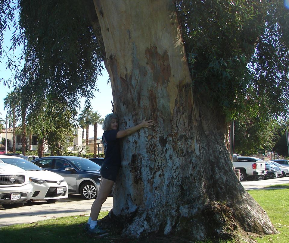 GMA_Bride's tweet photo. Feel #stressed or #depressed ? Go hug a tree
#brides #bridetobe #bliss #WeddingPlanner #Bridesmaids #BachelorNation
 https://t.co/QI08GioG4J https://t.co/eIRIEZfjsJ