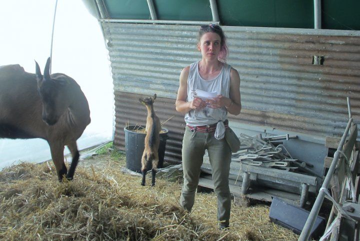 union_couveuses's tweet photo. 🐮🐷🐤 Les couveuses agricoles permettent à ceux n'ayant pas grandi à la ferme de tester leurs aspirations paysannes https://t.co/36EeUBdiZg https://t.co/9b1Gj4C3MV