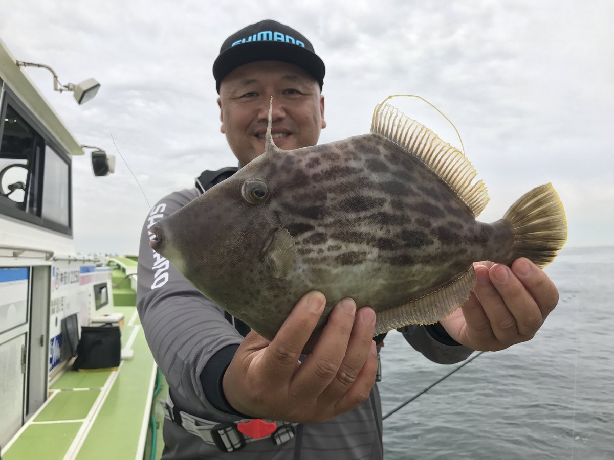 栗林拓也 Bell Joy En Twitter 今回はデカカワハギ シマノインストラクターでもある飯田さんからのご依頼です 今年自己ベストを更新されたという33 5cmの立派なカワハギです 手持ちの除去と飛び出した目を修正したリアル加工です デジタル魚拓 魚拓