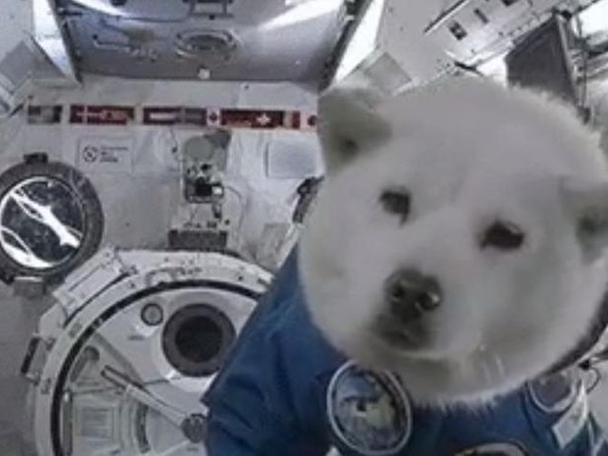 CNET's tweet photo. Got a dumb space question? #StupidQuestionsForAstronauts has a stupider one https://t.co/Au7BaEdWmG https://t.co/Y3ps70n867