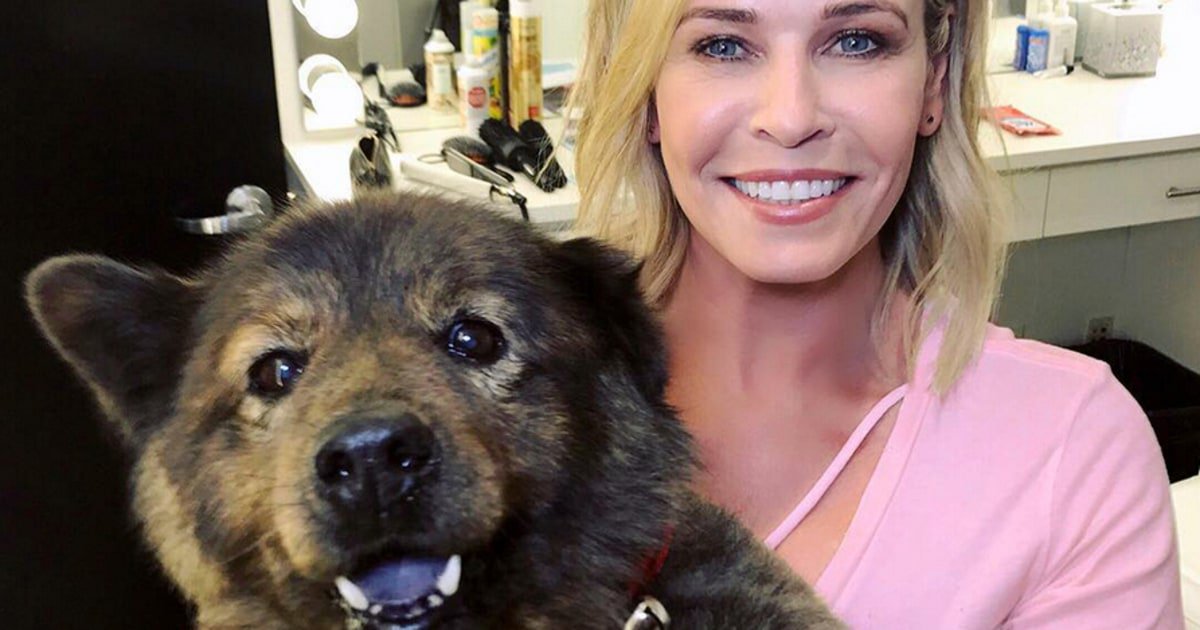 usweekly's tweet photo. Chelsea Handler dotes on her dogs: ‘They keep my chin up’ https://t.co/J1TsUp2RWE https://t.co/1UzqfoTGj8
