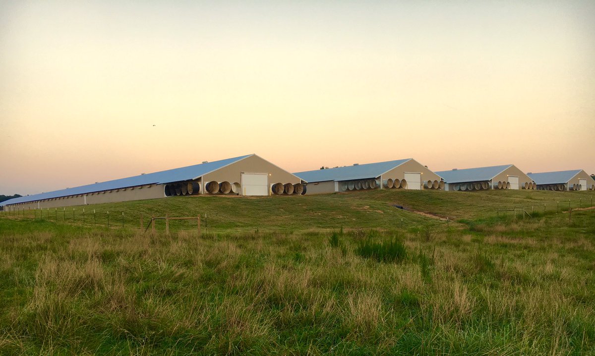 jerel_unruh's tweet photo. Beautiful evening here at the #wingfactory https://t.co/X2bIliYGZ1