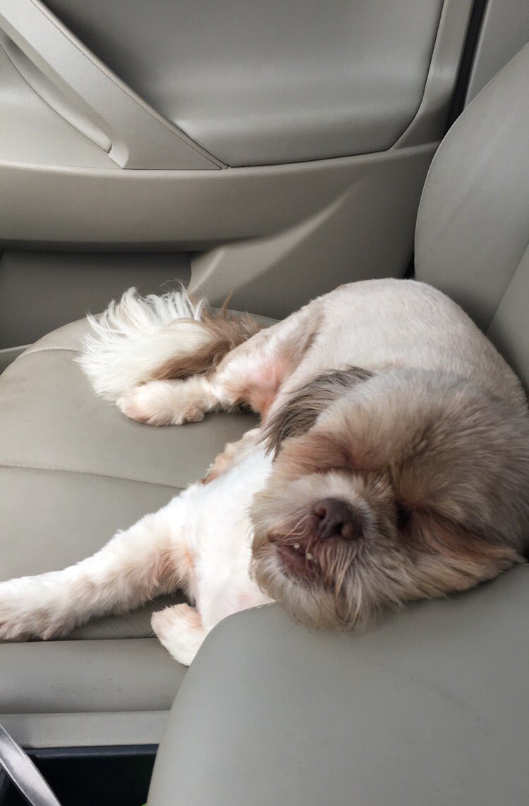 bigboy_bruise's tweet photo. beauty sleep https://t.co/WJRGLVd1W4