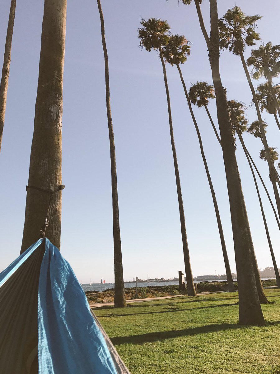 graycedegroot's tweet image. sometimes this is all you need