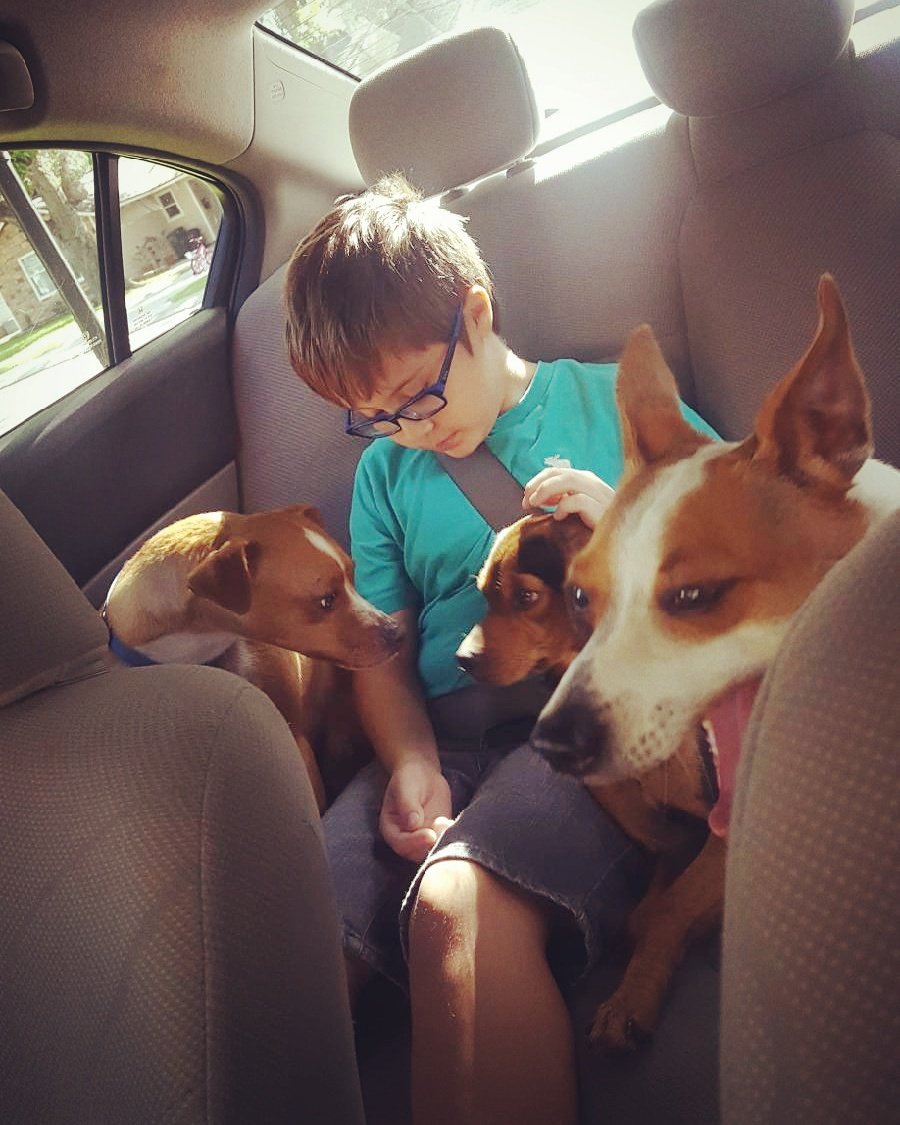 Vwebb90's tweet photo. Summer adventures with my boys ❤ https://t.co/Pu4maThX5I