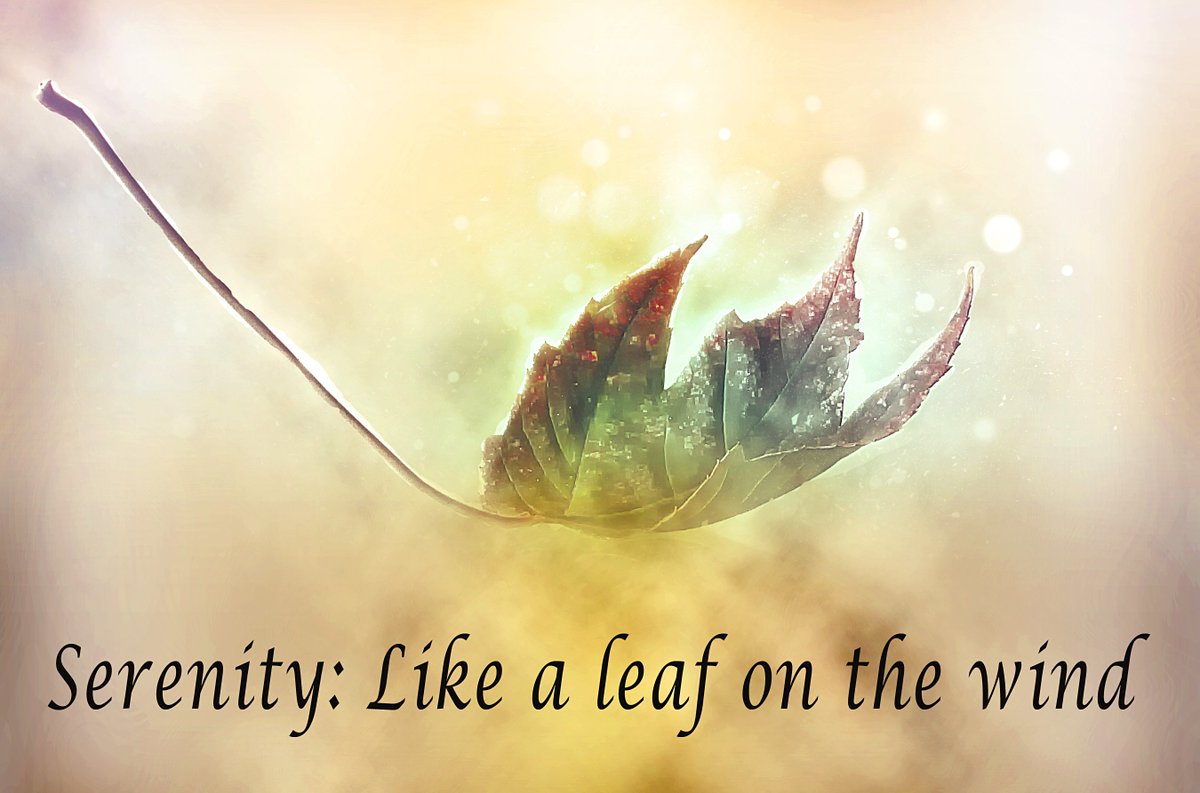 BascombJ's tweet photo. Like a leaf on the wind...  #scifi #fantasy #Serenity #Friday #photography https://t.co/cNTFwEGNNg
