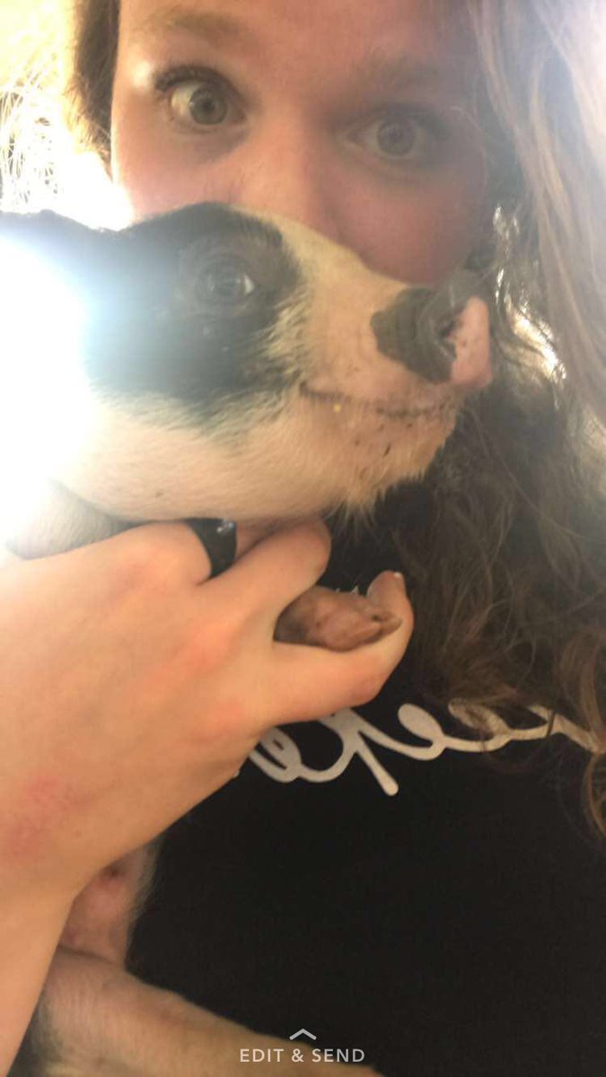 tostermo's tweet photo. Look at this sweet baby 😭❤️ https://t.co/xTzXpNKq10