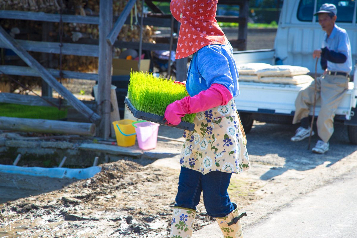 ネスト レビュー 作動する 農業 女子 長靴 Nekopunch Jp