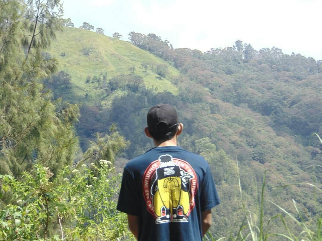 Rocket Crash tweet media