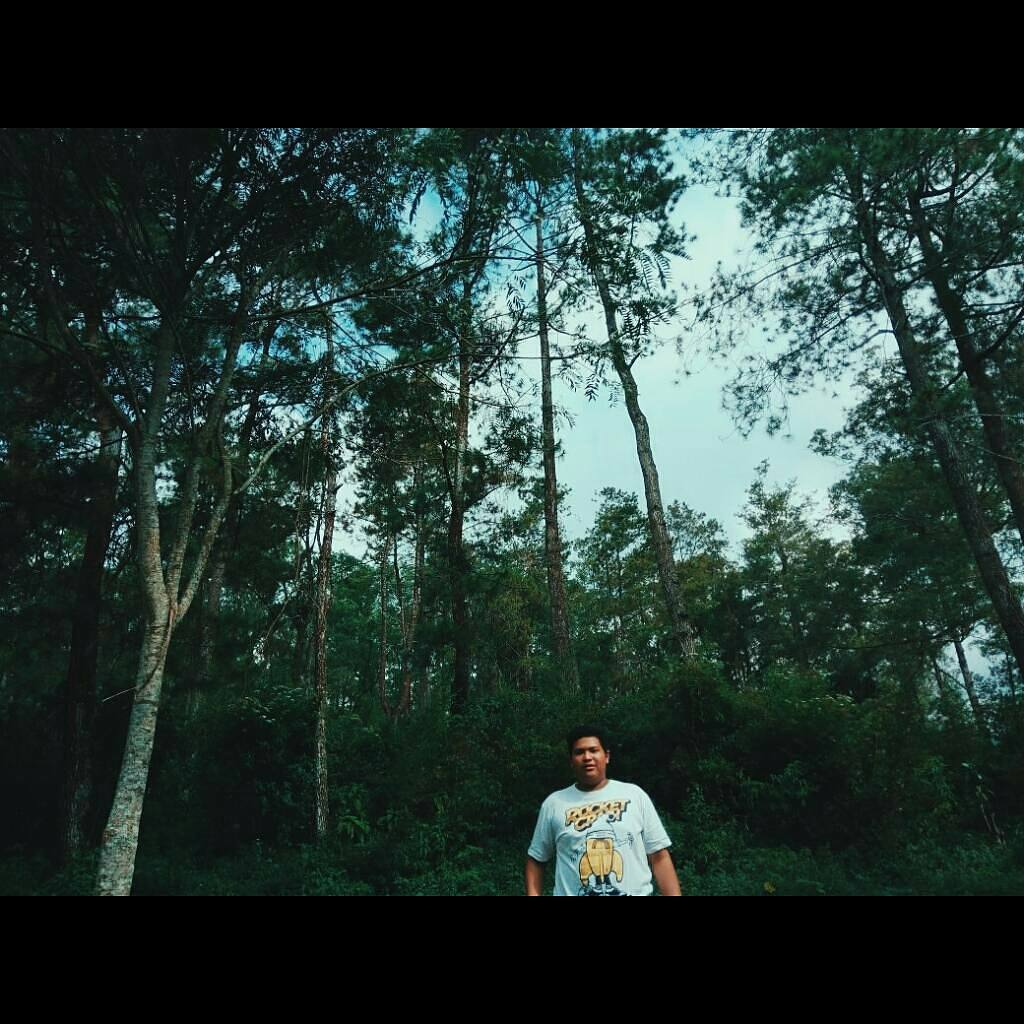 Rocket Crash tweet media