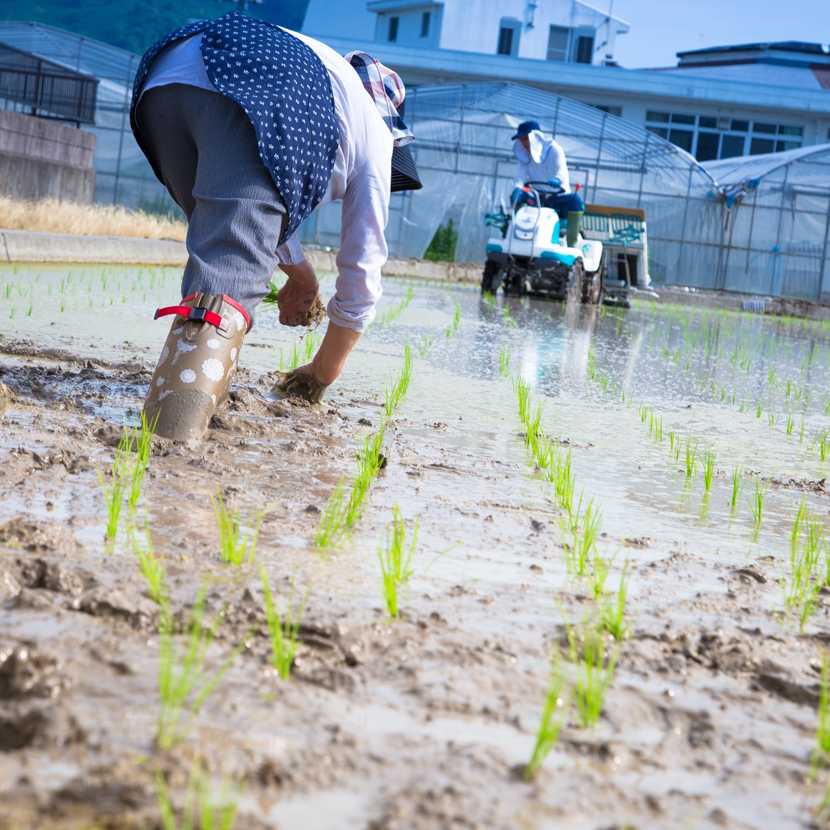 農業女子ファッション♪【のらスタイル】 on Twitter &quot;農業 田植え 農業女子 農園 ファッション 長靴 ブーツ