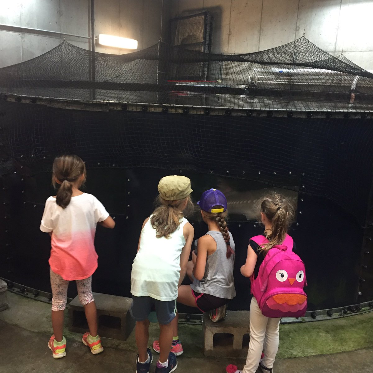 NWRSC's tweet photo. Our Stairs N Sturgeon event was a great success. Making it through Hell Week, one day at a time! #summerclubmagic #hellweek @BCSSAstaff https://t.co/vd6fvFDrio