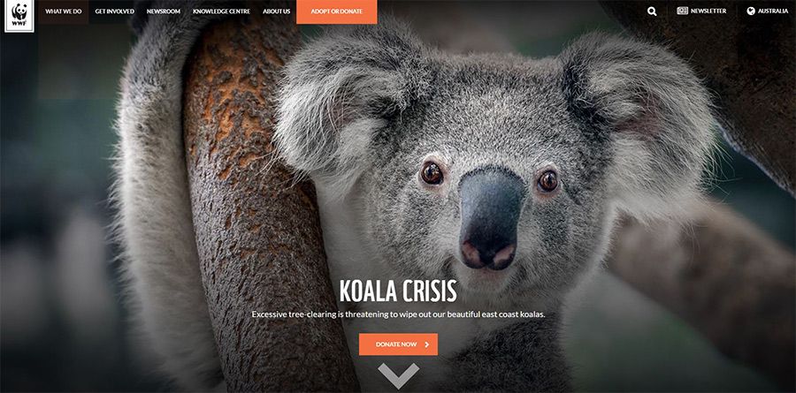 WeAreStudioFive's tweet photo. 8 Website Design Trends That Have Taken Off In 2017 via @elcomCMS #webdesign #webdesigntrends2017 https://t.co/iQXjRt4DKU https://t.co/0RiZLKYQga