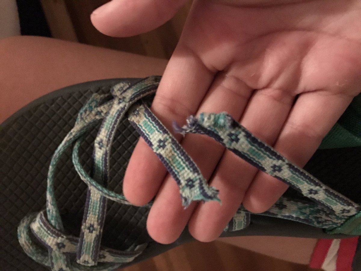 mnd_rose's tweet photo. I will never understand the whole "I love you so much so let me destroy something you love" 😡😡😡😡😡😡😡😡😡😡 #baddog #ripchacos https://t.co/7bfhknS1kl