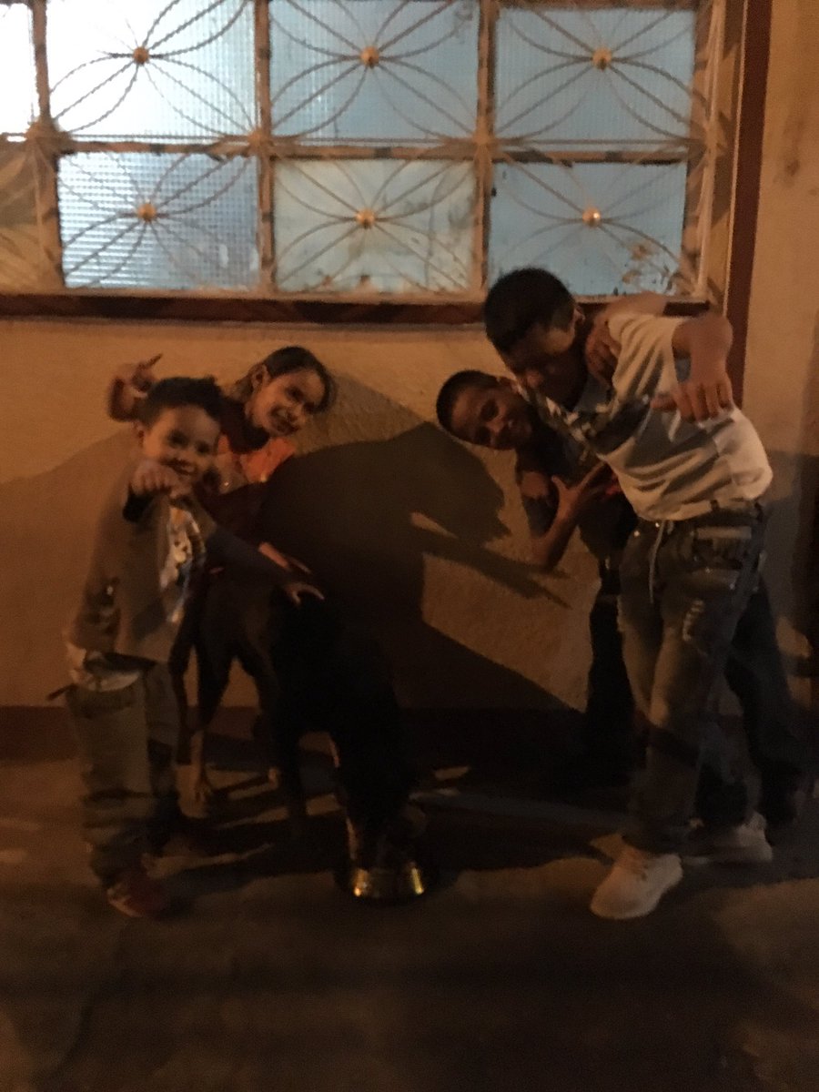 txpcol's tweet photo. Barriguitas llenas en el barrio las cruces en Bogotá. Gracias a ustedes otra #NocheDePerros es posible 🙏❤️🐶 https://t.co/13Vbo8YY63