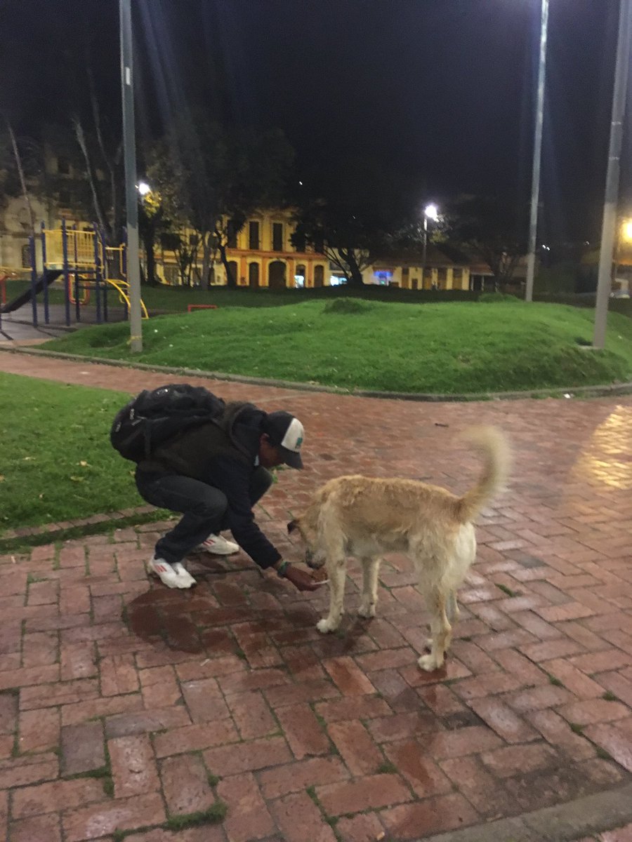 txpcol's tweet photo. Barriguitas llenas en el barrio las cruces en Bogotá. Gracias a ustedes otra #NocheDePerros es posible 🙏❤️🐶 https://t.co/13Vbo8YY63