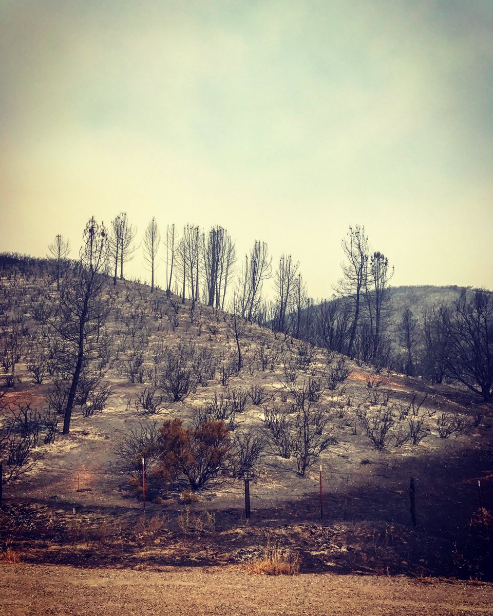 SunnyvaleDPS's tweet photo. Our Engine 44 was deployed today to help with the #DeltwilerFire. Over 2,200 fire personnel are battling this 🔥-keep them in your thoughts. https://t.co/mU8w8CKzzZ